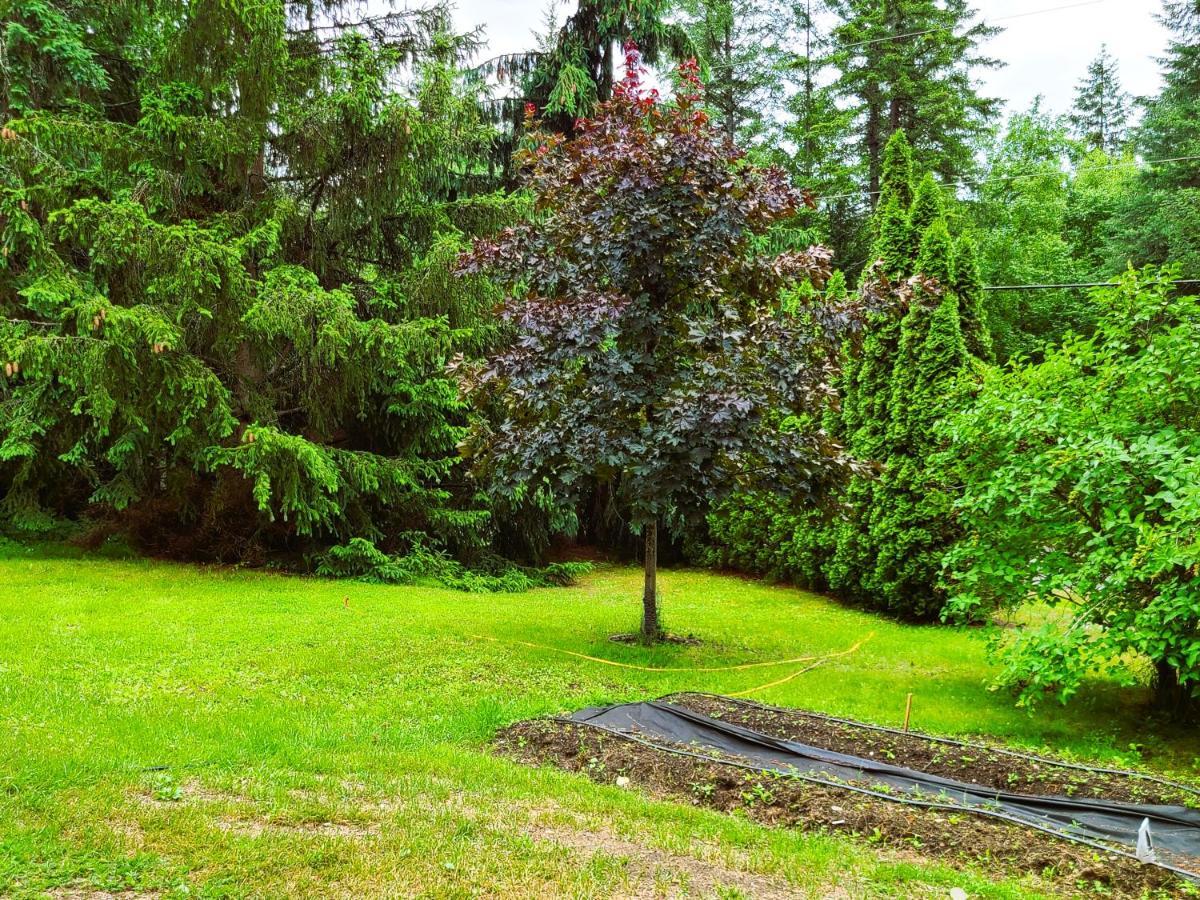 Woodcrest Bed And Breakfast Clearwater Dış mekan fotoğraf