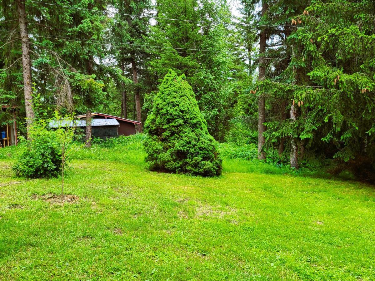 Woodcrest Bed And Breakfast Clearwater Dış mekan fotoğraf